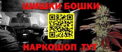 соль ск Славгород