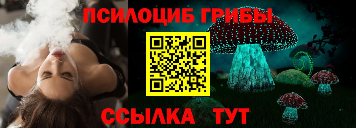 Псилоцибиновые грибы мицелий  наркота  Нижний Новгород  Вход с VPN 